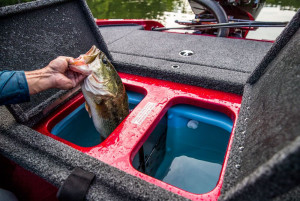 Fotogaléria NITRO Z18