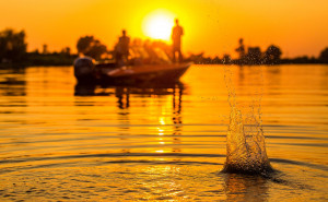 Fotogaléria Finval  505 FishPro SP