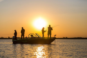 Fotogaléria Finval  555 FishPro DC