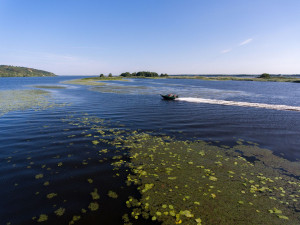 Fotogaléria Finval  555 FishPro DC