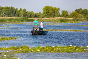 Fotogaléria Finval  510 Rangy Tiller