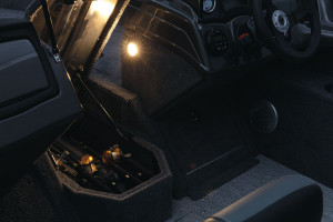 Fotogaléria TRACKER Pro Guide™ V-175 WT