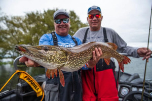 Fotogaléria TRACKER Pro Guide™ V-175 WT